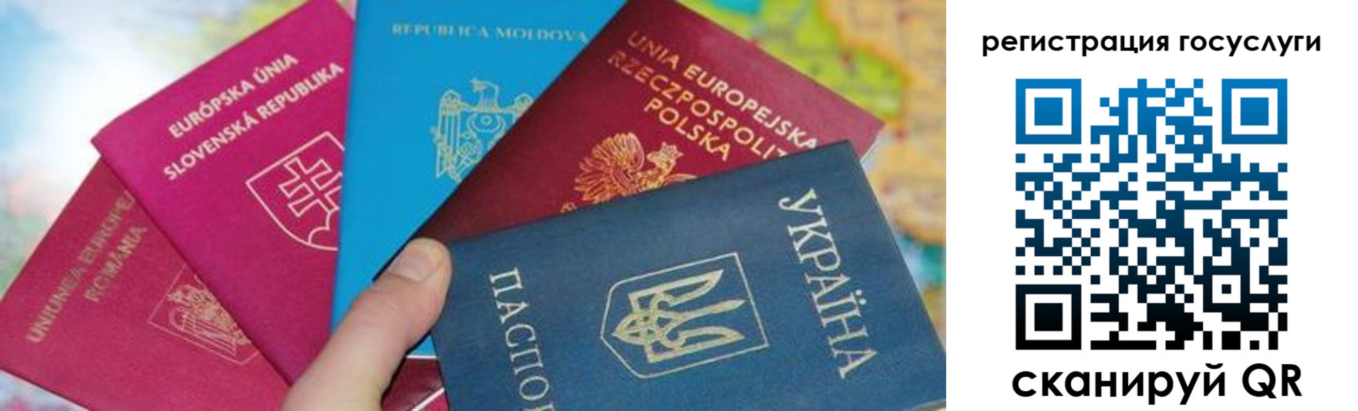 прописка гарантия в Луховицах